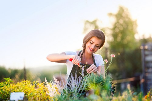 Healthy lawn maintenance in a Primrose Hill garden