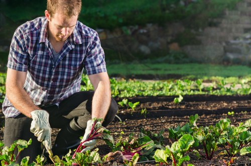 Gardeners working in a Primrose Hill garden setting