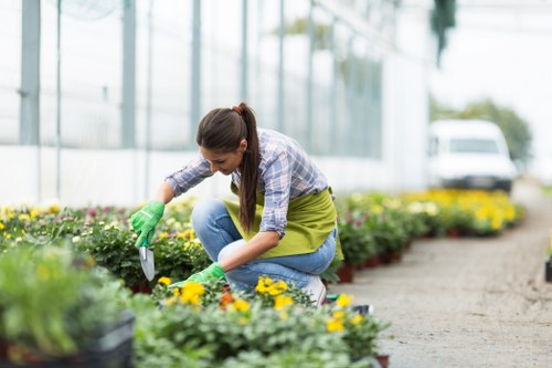 Professional garden maintenance in a Primrose Hill outdoor space