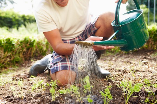 Professional mowing and edging for a Primrose Hill lawn