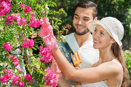 Professional garden clearance work in Primrose Hill