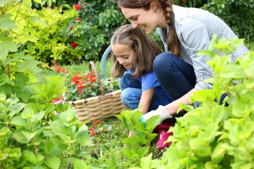 Seasonal lawn mowing and maintenance in Primrose Hill