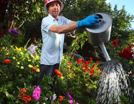 Urban planting scheme suited to Primrose Hill homes