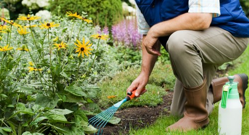 Free quote policy for Primrose Hill gardening services