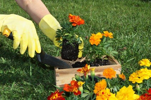 Closing a gardening complaint with a fair resolution