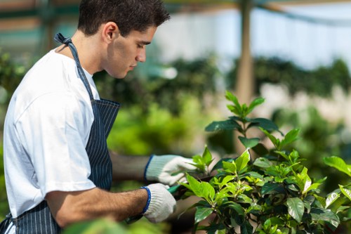 Screen-reader and keyboard navigation support for a local gardening website