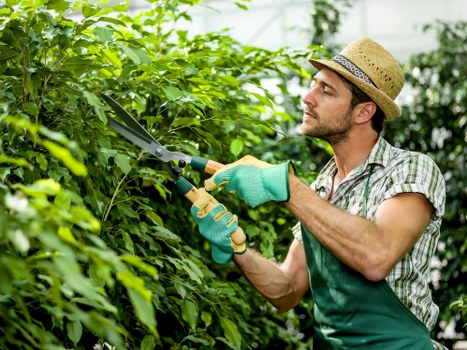 Ongoing commitment to ethical practices in Primrose Hill gardening