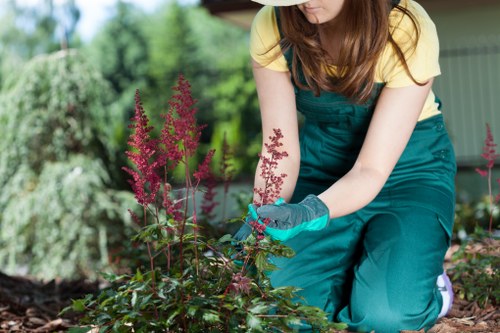 Seasonal planting and lawn care in Primrose Hill