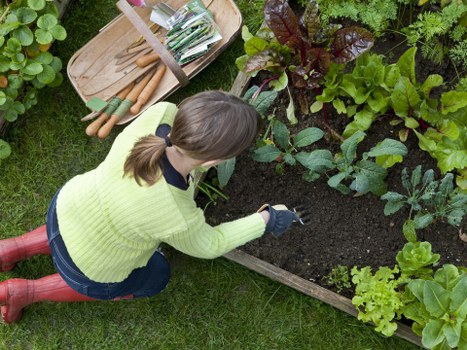 Seasonal planting and maintenance in a Primrose Hill outdoor space