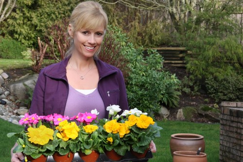 Ongoing accessibility improvements for Gardeners Primrose Hill