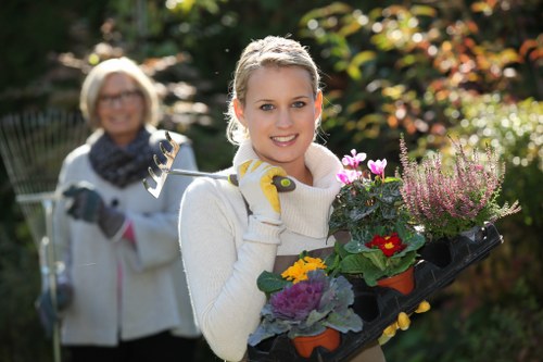 Seasonal gardening services in Primrose Hill for terraces and private gardens