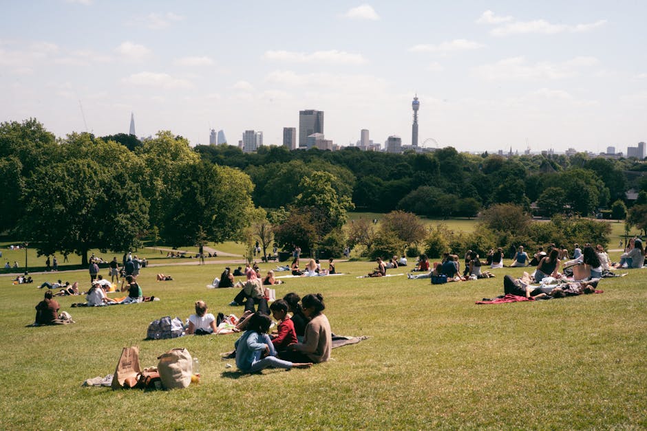 A spacious urban park with a well-maintained grassy lawn dotted with groups of people sitting on picnic blankets and engaging in outdoor activities. The foreground shows several individuals and famili