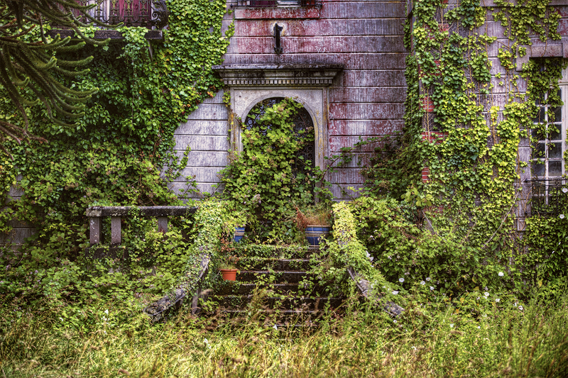 garden maintenance garden